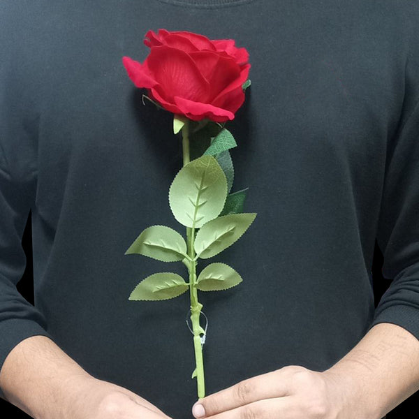 30 inch Single stem Rose