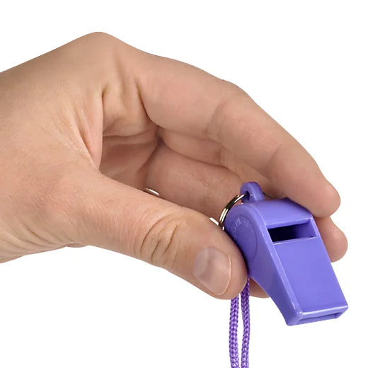 2" Neon Whistle Necklace