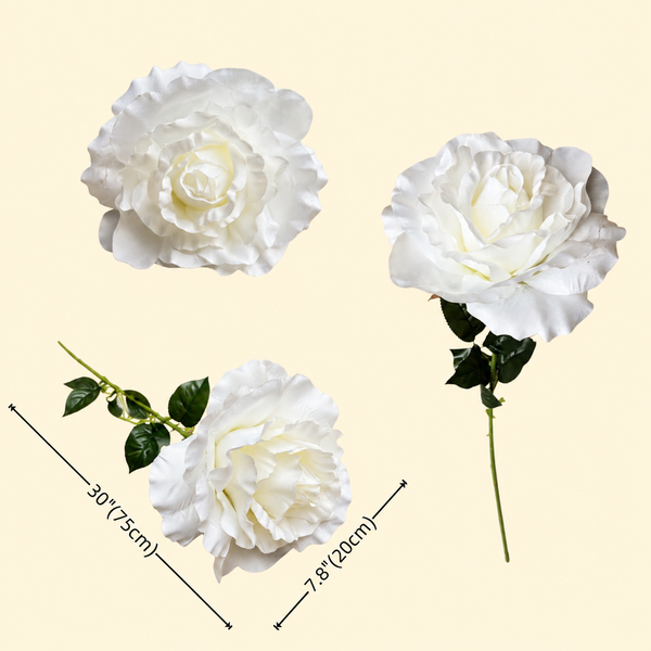 30 inch Single stem Rose white