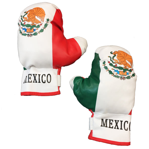 24 Inch Mexico Punching Bag & Boxing Gloves